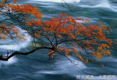 让你一事无成的不是骄傲，是虚假的自尊心