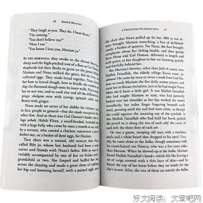 最新的《灿烂千阳》小说句子
