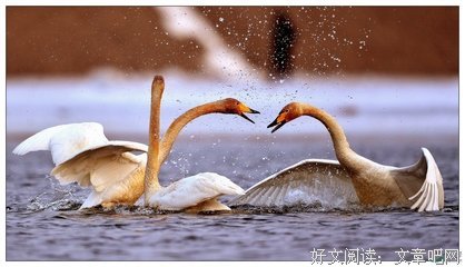 他成功的根本原因在于，他赶上了好时代 - 04
