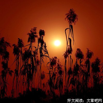 爱的越真，伤的越深！