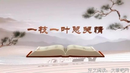 最全的《百家讲坛》经典名句