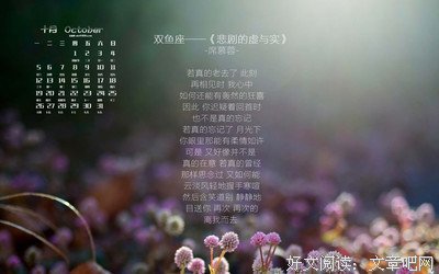 关于张龙的唯美语录