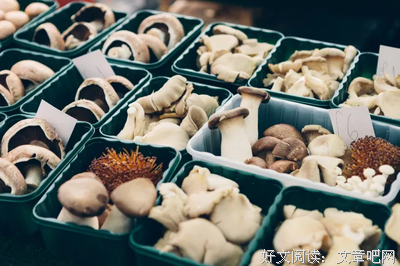 古希腊的名言_关于古希腊的名言