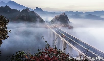 描写张花的经典句子