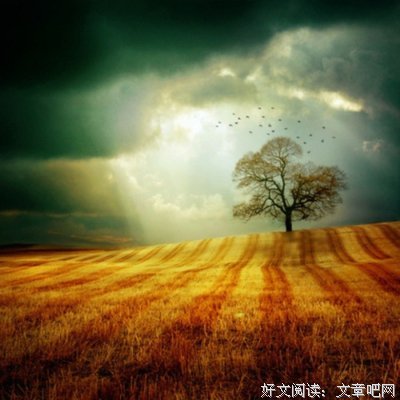 关于贪心的格言