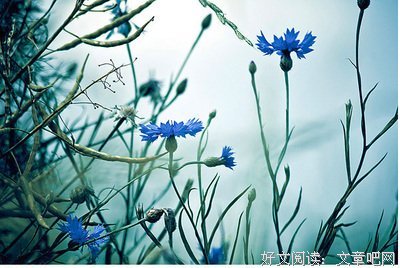 佳句句子大全