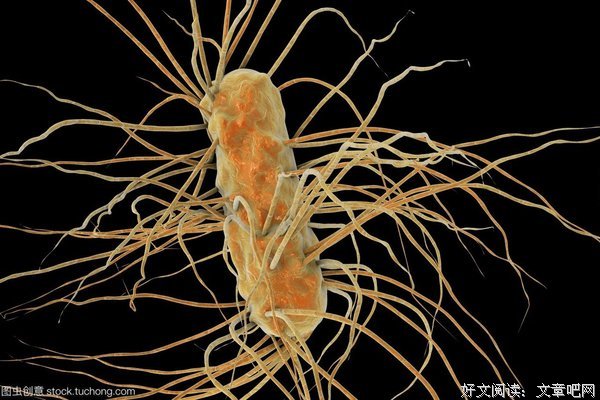 就们时周毛句集句子