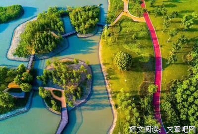 有关白鹭成双名言
