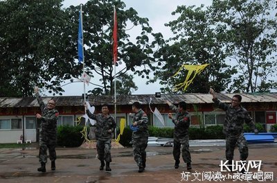 关于维和粽子精彩语录