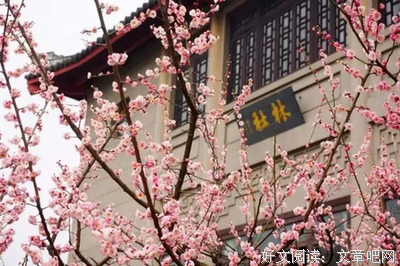 最新的微云疏影名言大全