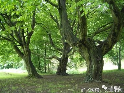 最全的忆之殇乐经典名句