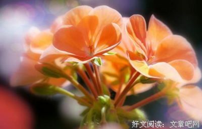 有一种爱叫：你好好吃饭
