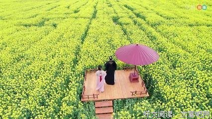 最经典的《萌妃驾到》连续剧台词