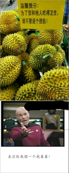 最经典的《萌妃驾到》名句欣赏大全