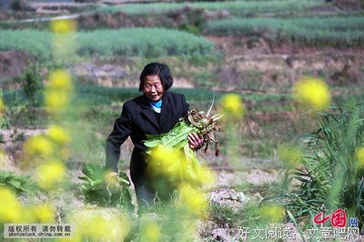 最全的《老人与海》小说摘抄