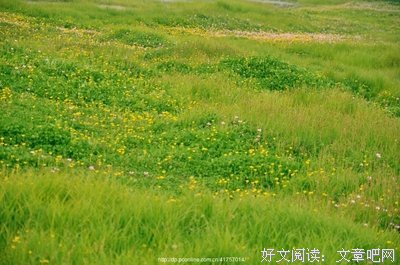 《花田半亩》散文美句