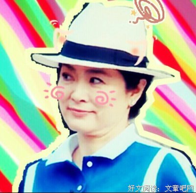 最新的《可念不可说》好段摘抄