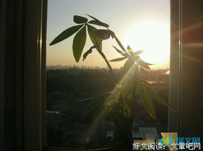 敝帚自珍的语句摘抄_关于敝帚自珍的语句