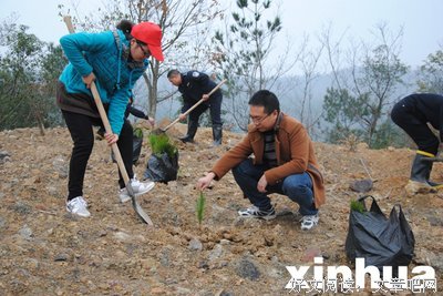 春风吹又生的语句摘抄_关于春风吹又生的语句