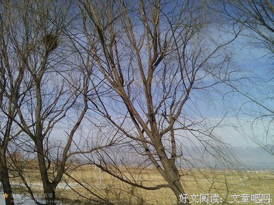 关于小威名言名句
