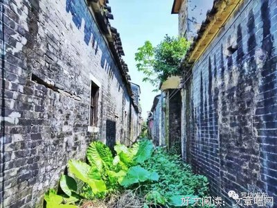 问鼎苍穹 谁与争锋句子大全