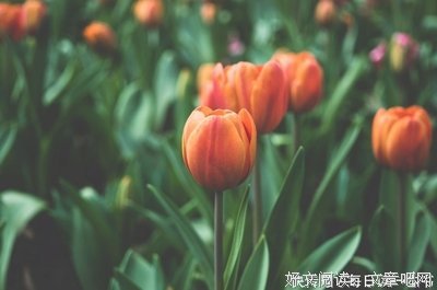 看清，别揭穿， 讨厌，不翻脸！