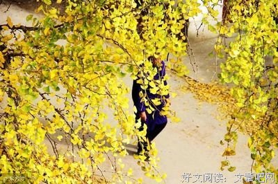 最好的我们名句欣赏