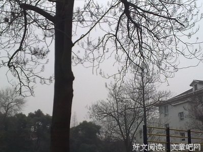 有关青衫落拓的格言