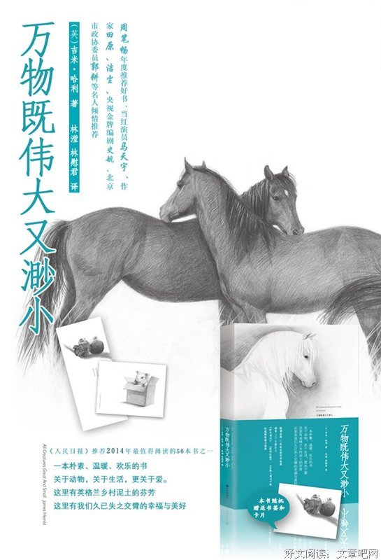吉米·哈利名言大全