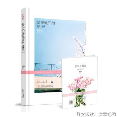 最全的《星星上的花》经典语句