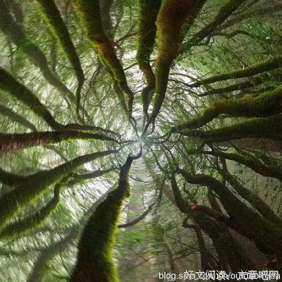 最经典的《沉默的告白》经典名句