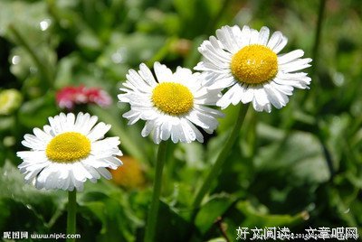 《金钱与工作》经典名句