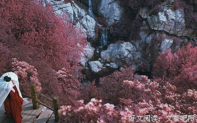关于偶然的语句