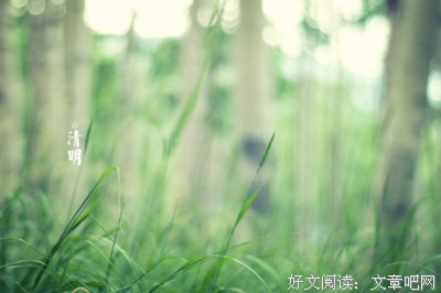 关于悲的优美句子