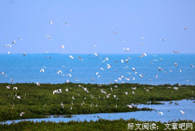 你的骄傲，由我来守护。名句欣赏