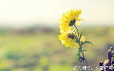 《靜》的句子