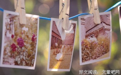 最全的苑子文 苑子豪精彩语录
