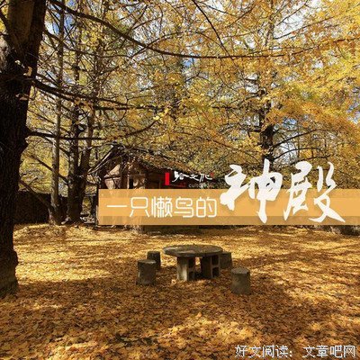 有关懒鸟的名言