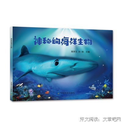 最全的《樱花落海洋2》经典语句大全