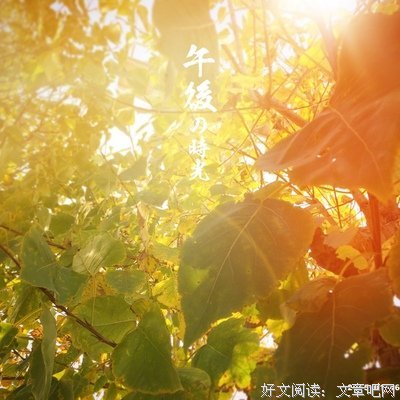 最全的《一厘米的阳光》语录摘抄