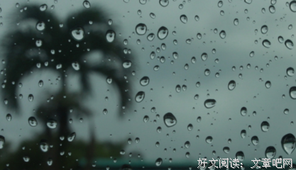 最新的《像狗一样奔跑》小说句子大全
