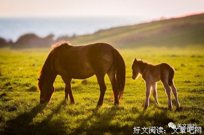 《味道·第一宗罪》小说摘抄