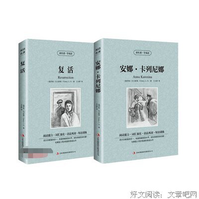 最新的《安娜·卡列尼娜》小说书摘大全