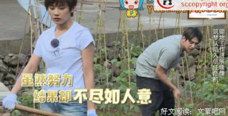 李冰冰吴彦祖国外求医险丧命，网友：“还是国内好！”