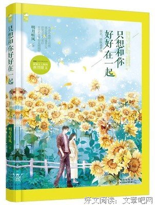 《只想和你好好的》小说书摘
