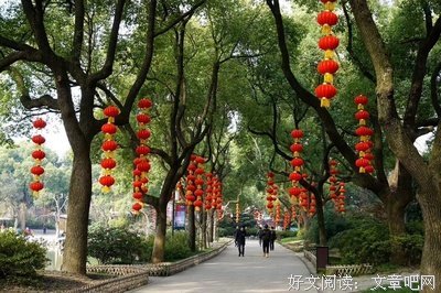 关于张灯的座右铭