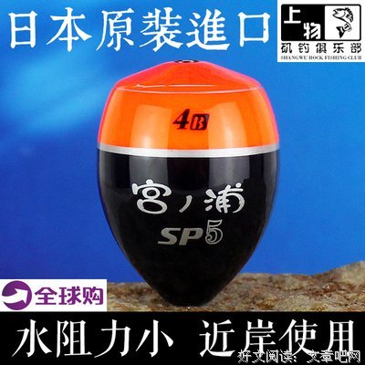 关于阿波的格言