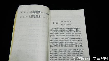 关于胆剑录的句子