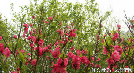 《L。》的句子