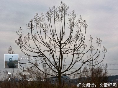 倾诉 | 花72元追到的老婆，不配背一万块的包